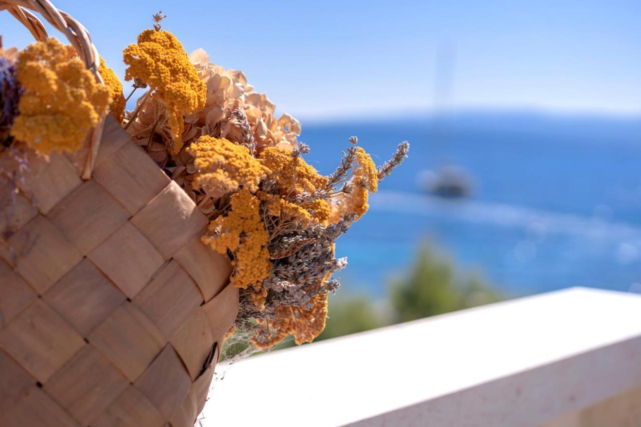 Hotel Pansion Marjan Zavala Exteriér fotografie